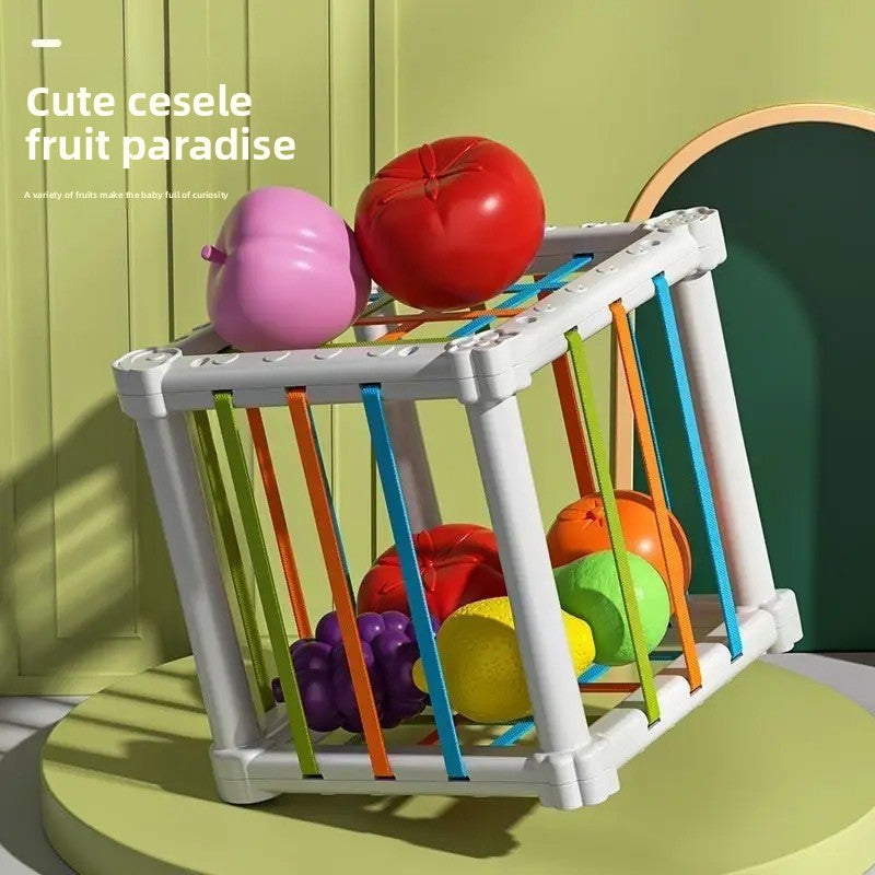 Fruit Rainbow Sensory Educational Toys