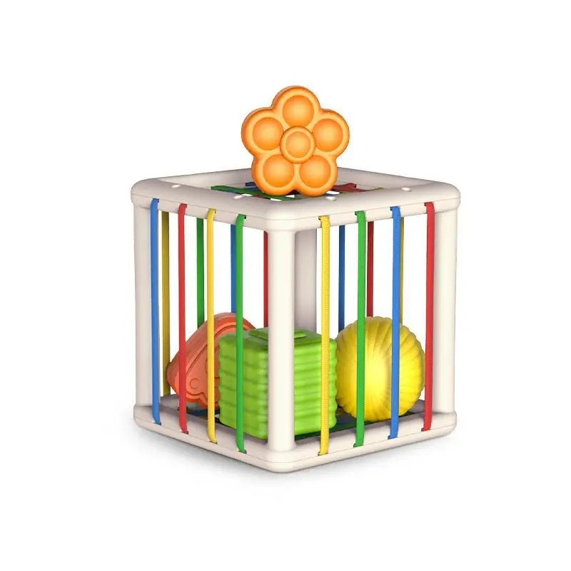 Fruit Rainbow Sensory Educational Toys